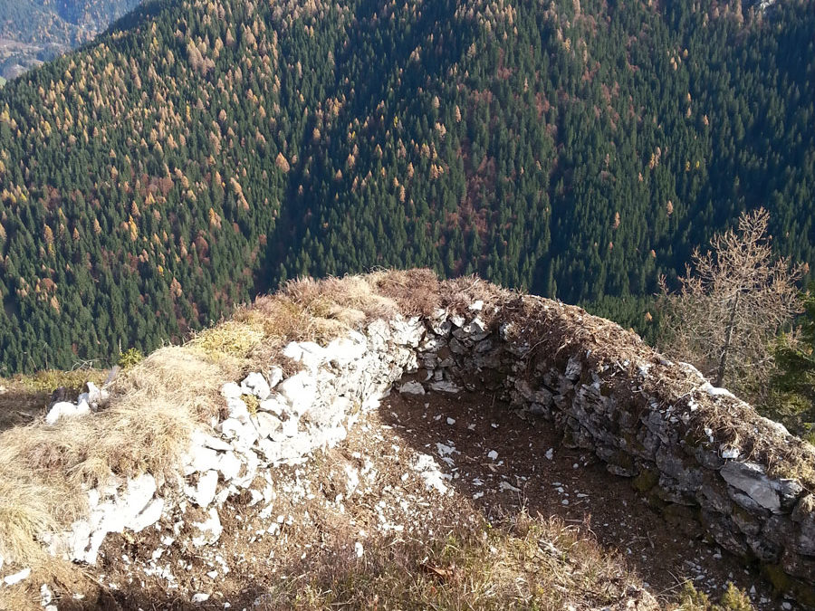 Trincee a col Burgion Auronzo