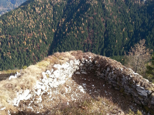 Trincee a col Burgion Auronzo